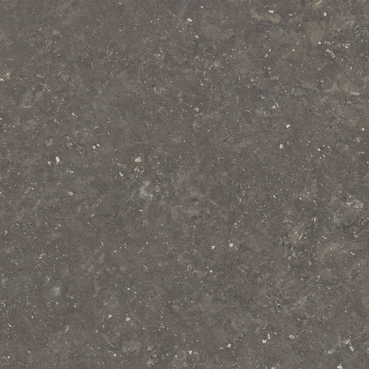 CHY-X2150S｜商品検索｜タイルの名古屋モザイク工業株式会社