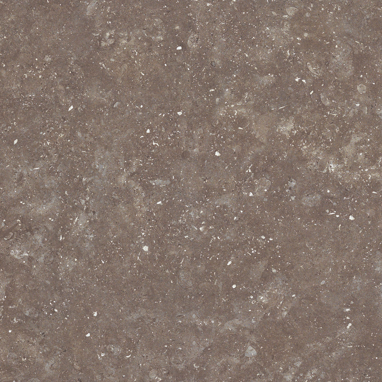 CHY-X2240G｜商品検索｜タイルの名古屋モザイク工業株式会社