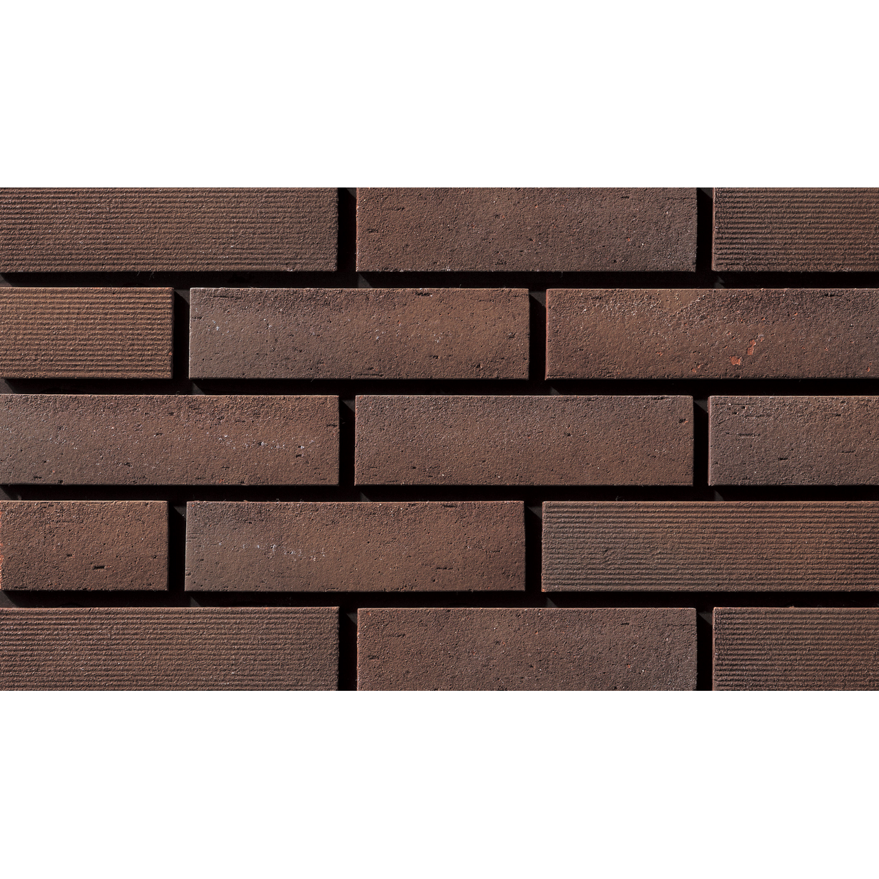 タエニア　TAENIA Abyss TAENIA タエニア2個セット