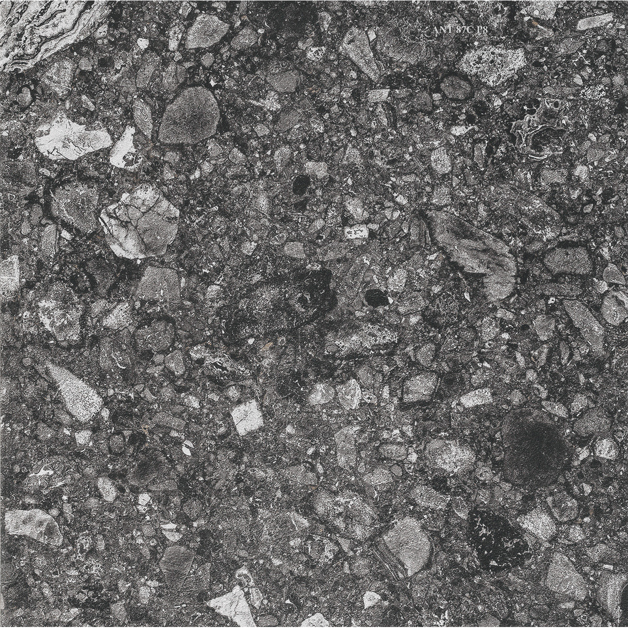 ノール｜商品検索｜タイルの名古屋モザイク工業株式会社