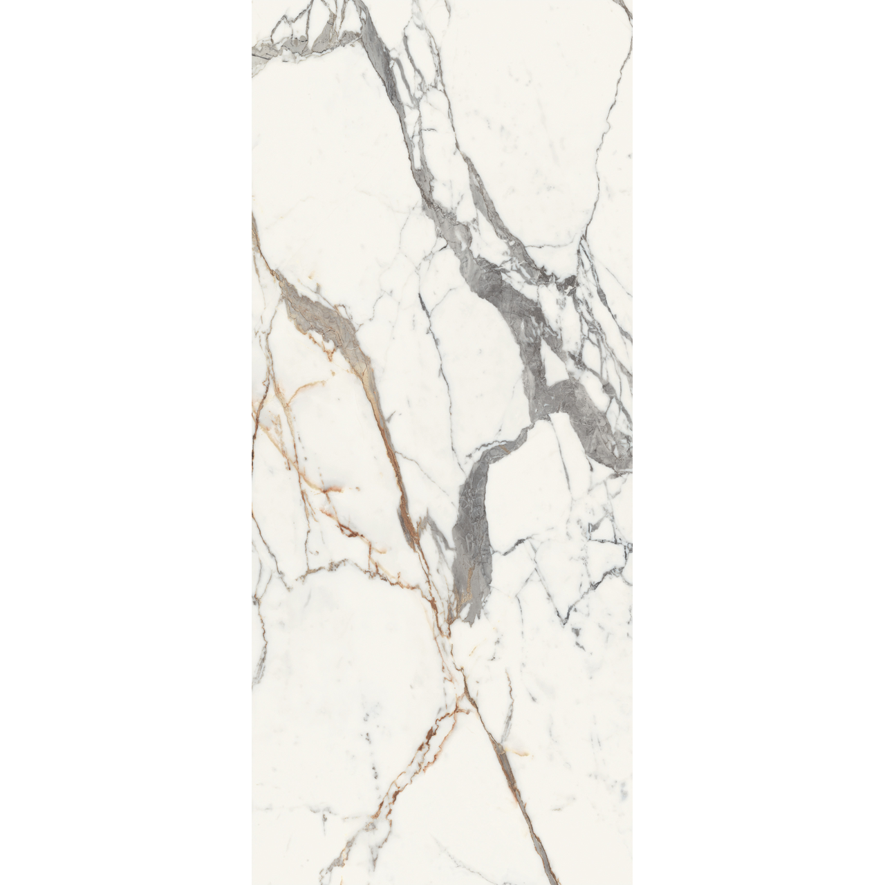 プライマルマライマルフットマルブック14 プライマルマライマルフットマルブック14